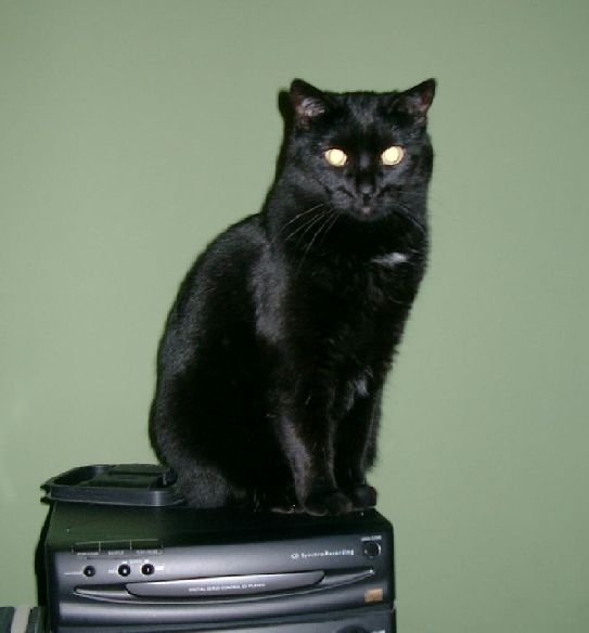 La mn�ṅna Eur�pa