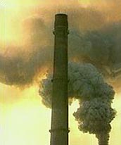 Una pzza snza fn ch'la d dn ai nster pulmn